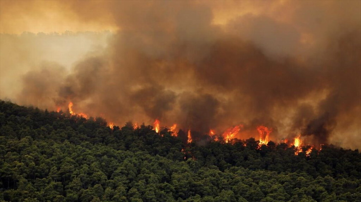 Πυρκαγιές: Υπενθύμιση προς αγρότες και παραγωγούς από την Πολιτική Προστασία