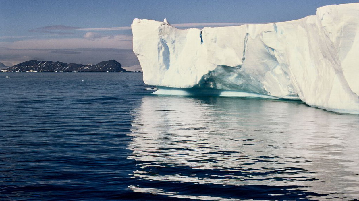 Ανταρκτική: Βρέθηκε νέο είδος θαλάσσιου τέρατος με 20 βραχίονες (φωτο)