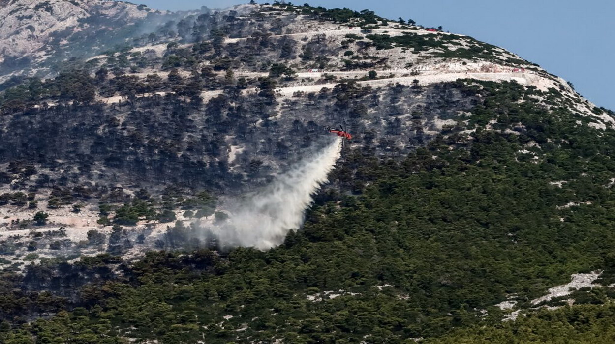 Ένας δασολόγος υπεύθυνος για ολόκληρη την Πάρνηθα