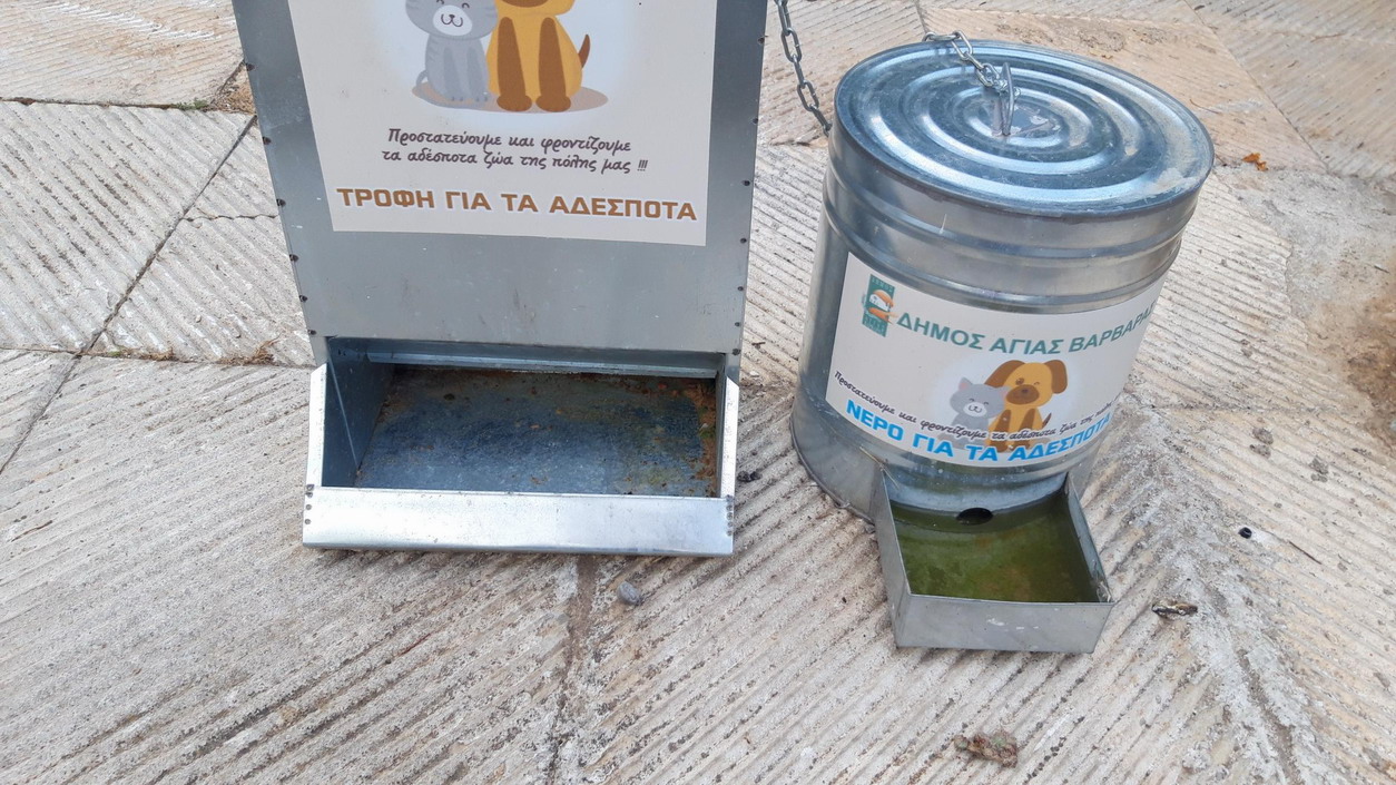 Ταΐστρες και ποτίστρες για τα αδέσποτα γατάκια, εκτεθειμένες στις καιρικές συνθήκες, χωρίς τροφή και με λασπωμένο νερό, στην οδό Χίου