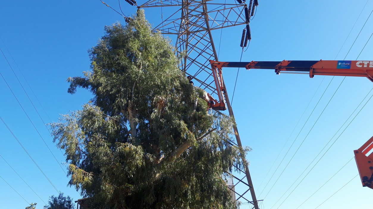 Κλάδεμα δένδρων δίπλα σε πυλώνες μεταφοράς ηλεκτρικού ρεύματος από την ΑΔΜΗΕ