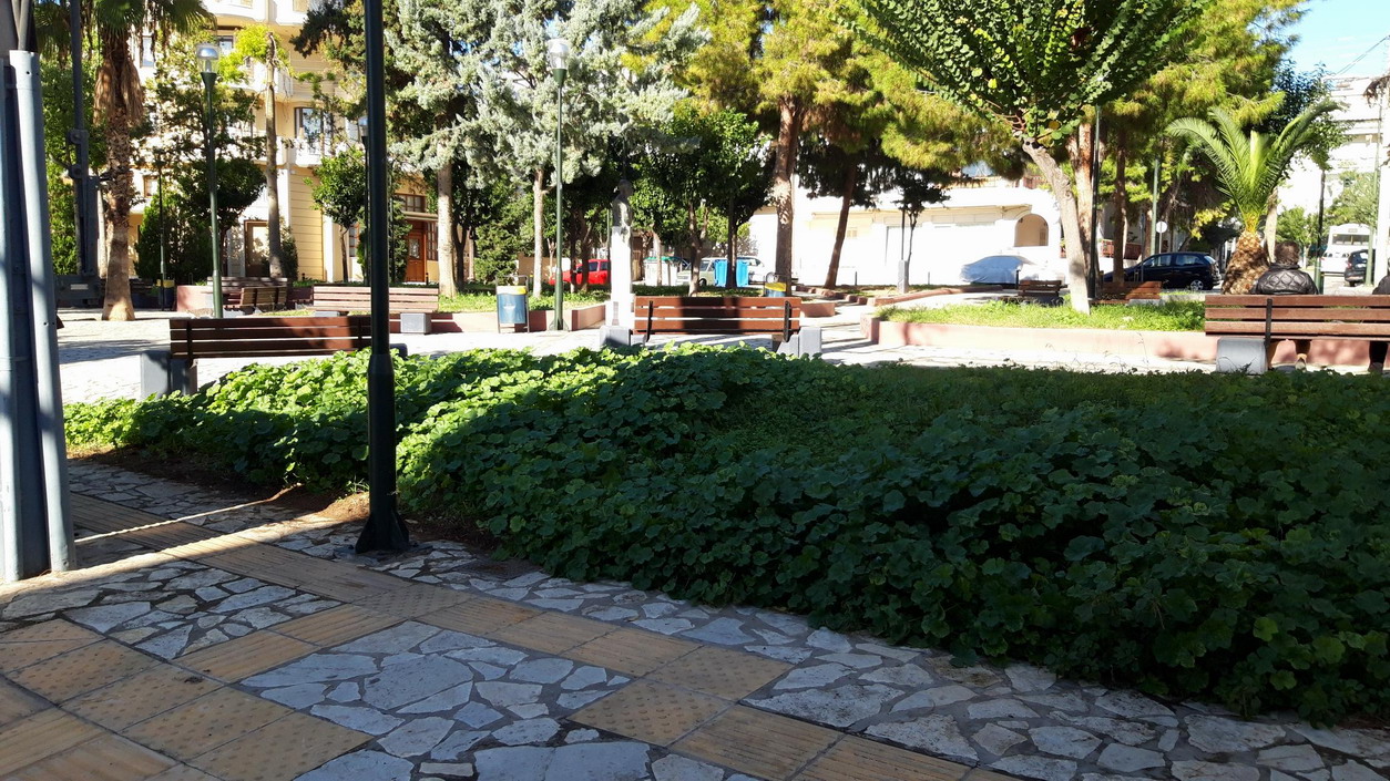 Αγριόχορτα και ξεραΐλα κυριαρχούν στην πλατεία Γρηγόρη Λαμπράκη