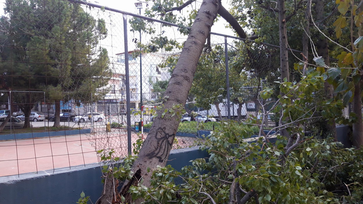 Ο δυνατός αέρας έσπασε κορμό μεγάλου δένδρου και το ξερίζωσε στην πλατεία Νέας Γενιάς