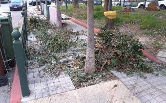 Συμπολίτης μας: “Πότε θα απομακρυνθούν τα κλαδέματα;”