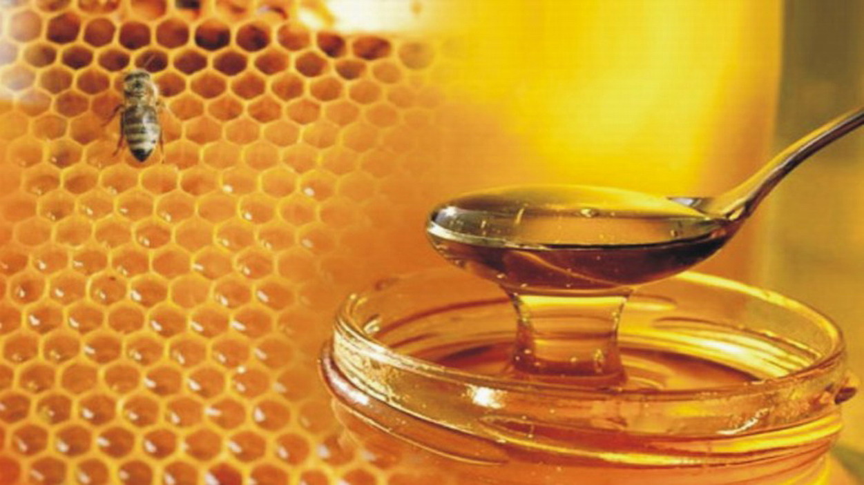 Το Α.Π.Θ. εξέτασε 48 διαφορετικά ελληνικά μέλια: Αυτό είναι το καλύτερο για την υγεία!!