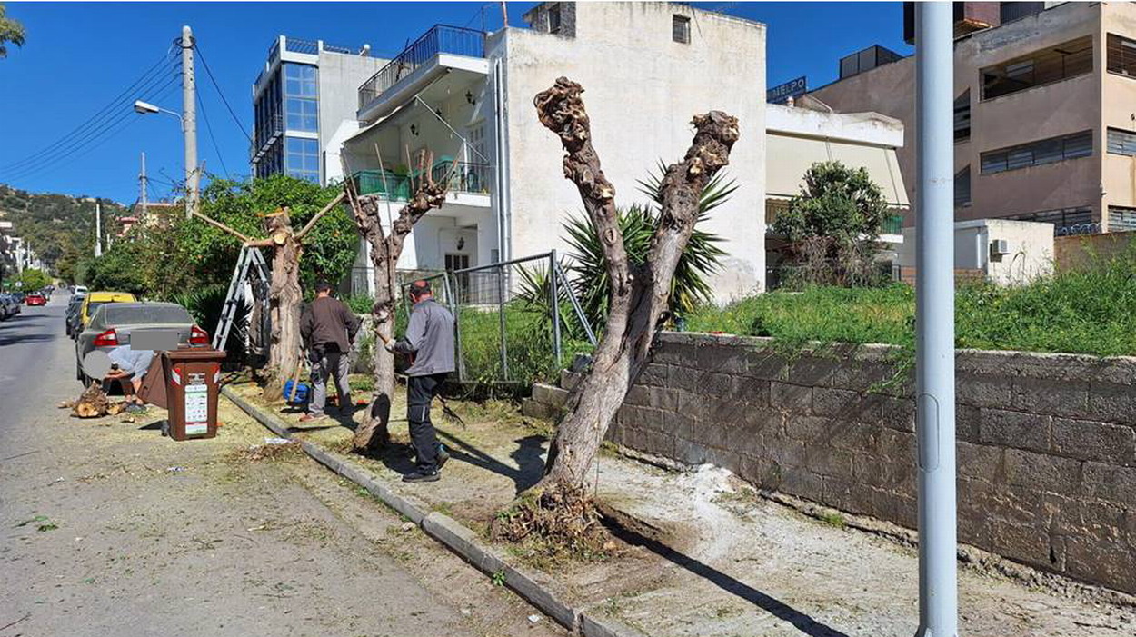 Βαθιά κλαδέματα δένδρων στην οδό Ερυμάνθου, από το δήμο
