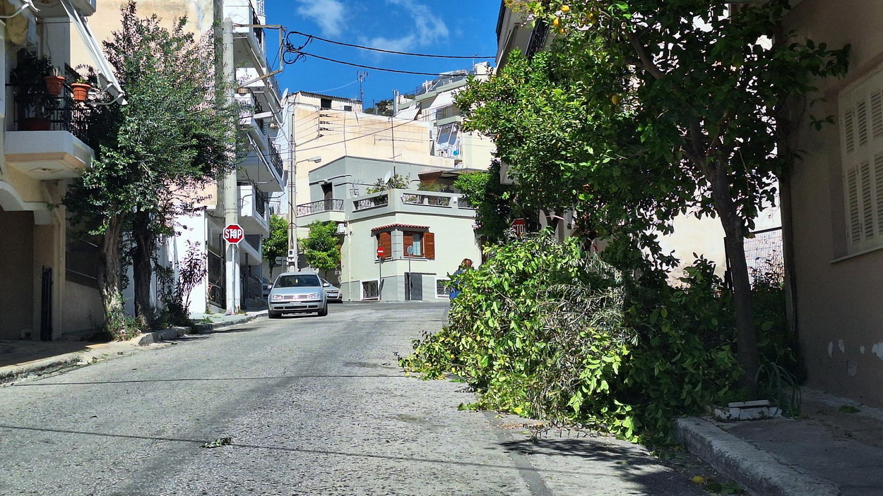 Ξεκίνησαν με κλαδέματα των δένδρων οι εργασίες οδοποιΐας, στις οδούς Σωκράτους, Ηπείρου, Οδυσσέως και Παλ. Πολεμιστών