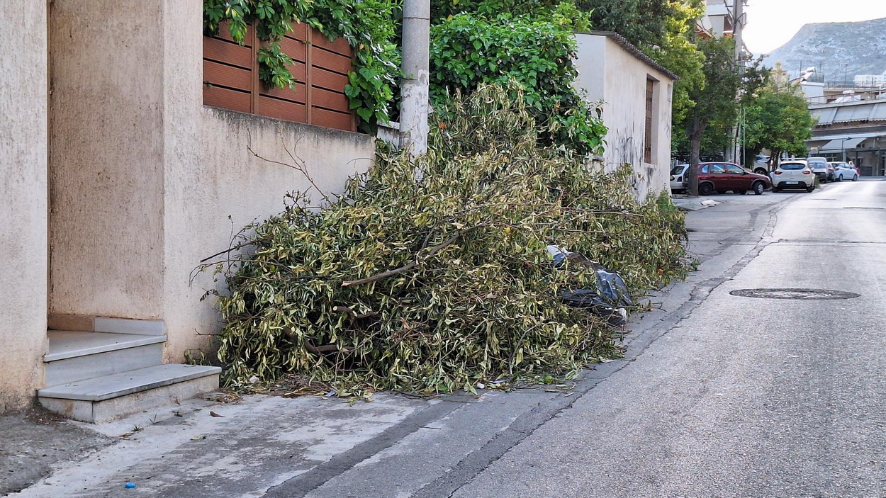 Κλαδέματα πλέον της εβδομάδας αμάζευτα στην οδό Κισσάμου… – Και σε άλλους δρόμους