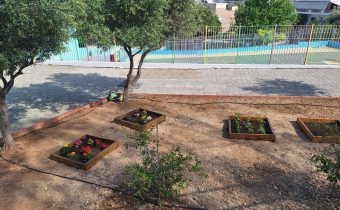 Μαθήματα κηπουρικής θεωρητικά αλλά και στην πράξη, τα παιδιά του 10ου Νηπιαγωγείου της πόλης μας