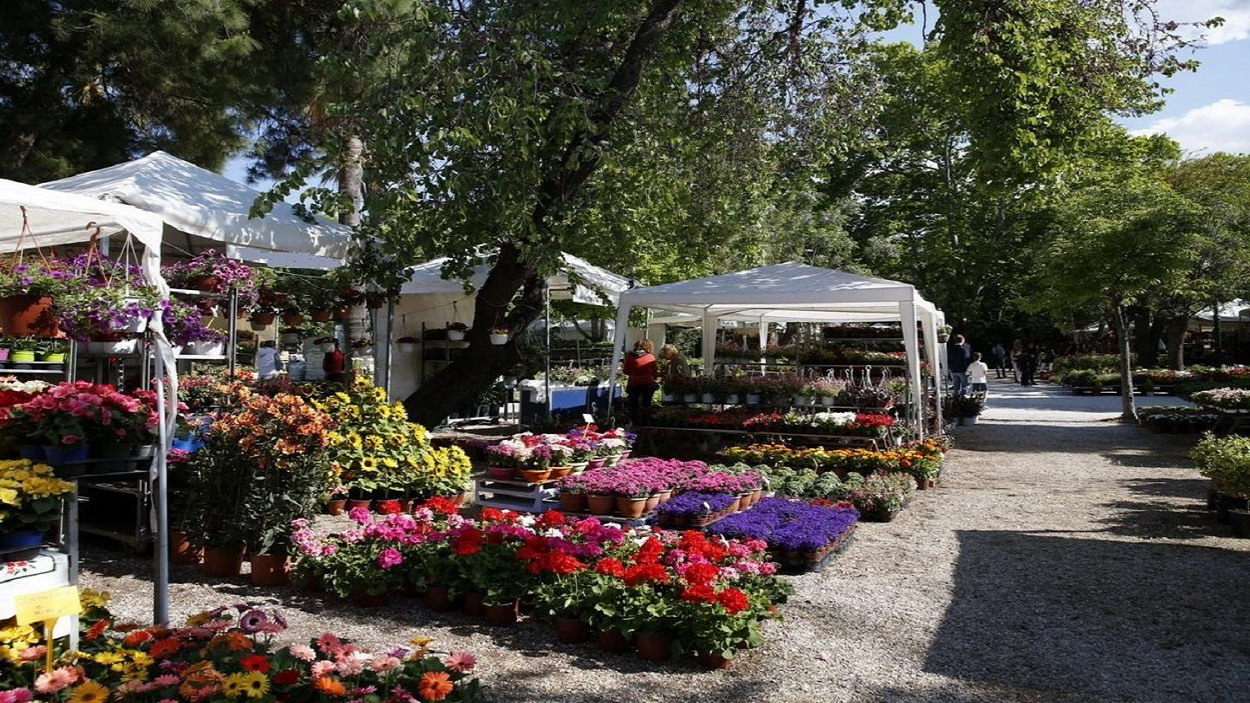 Οι γύρω δήμοι πραγματοποιούν εκθέσεις λουλουδιών εκτός ο δικός μας