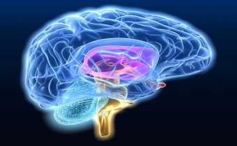 Απίστευτες πρώτες εικόνες εγκεφάλου από τον ισχυρότερο μαγνητικό τομογράφο στον κόσμο
