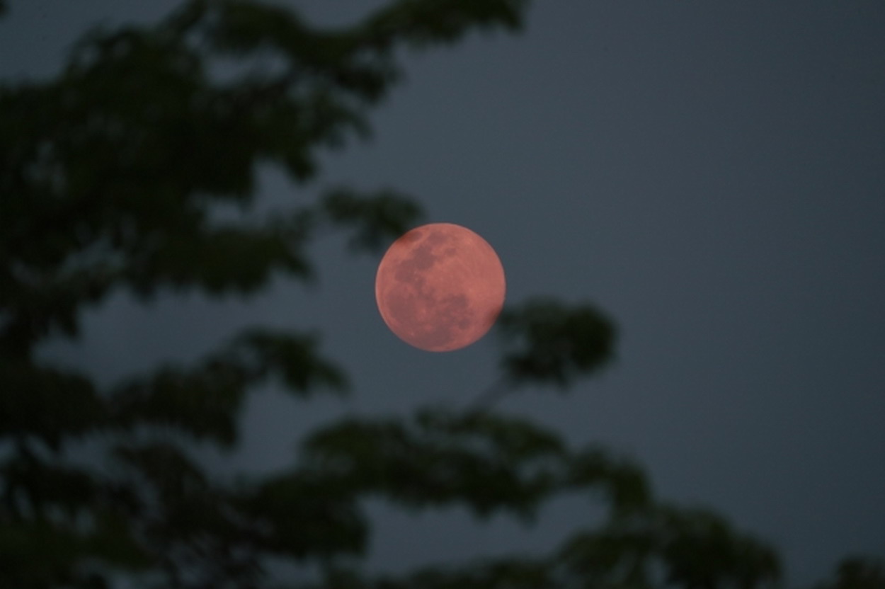 Ροζ Πανσέληνος: Πλησιάζει το πρώτο ολόγιομο φεγγάρι της Άνοιξης