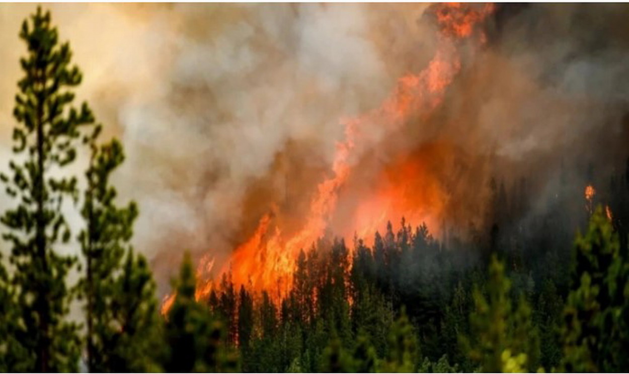 Το μέγεθος της καταστροφής από τις φωτιές: Στάχτη έγιναν 2.000 στρέμματα σε Σταμάτα και Πάρνηθα – Κάηκαν δέντρα, σπίτια και αυτοκίνητα