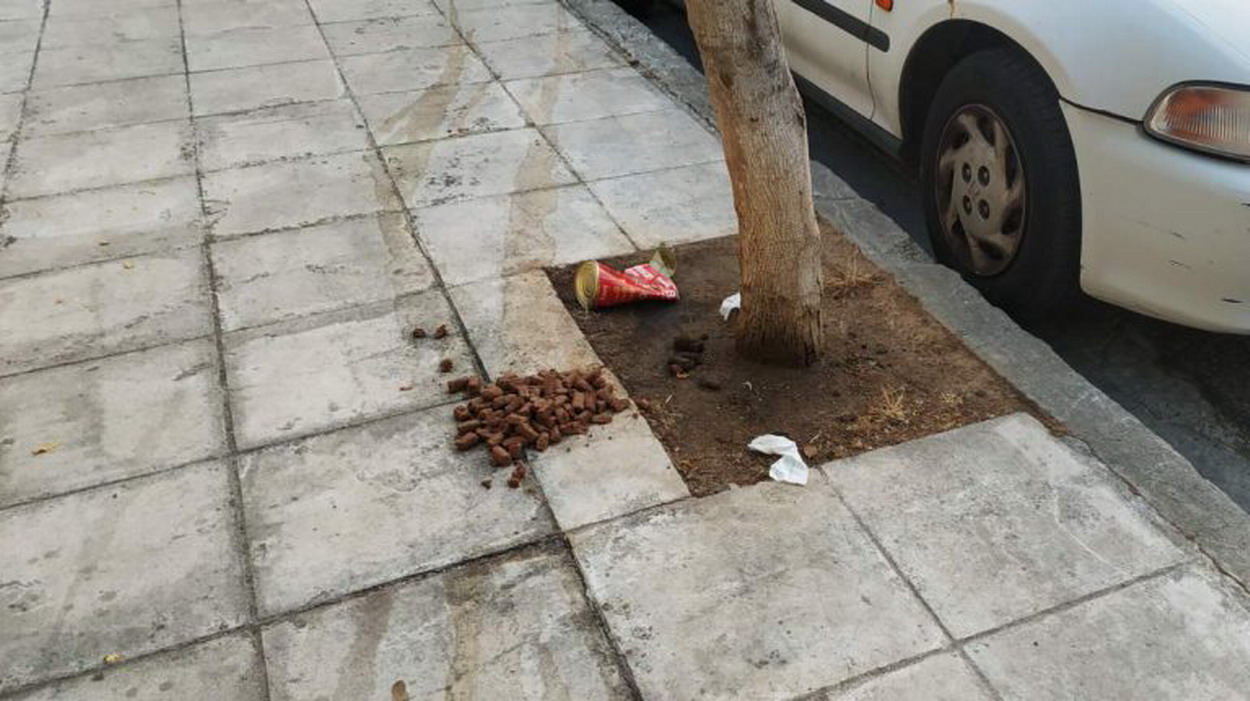 Συμπολίτισσά μας: “ΟΧΙ χύμα κονσέρβες στα πεζοδρόμια – Ξηρά τροφή για τα αδέσποτα και νεράκι”