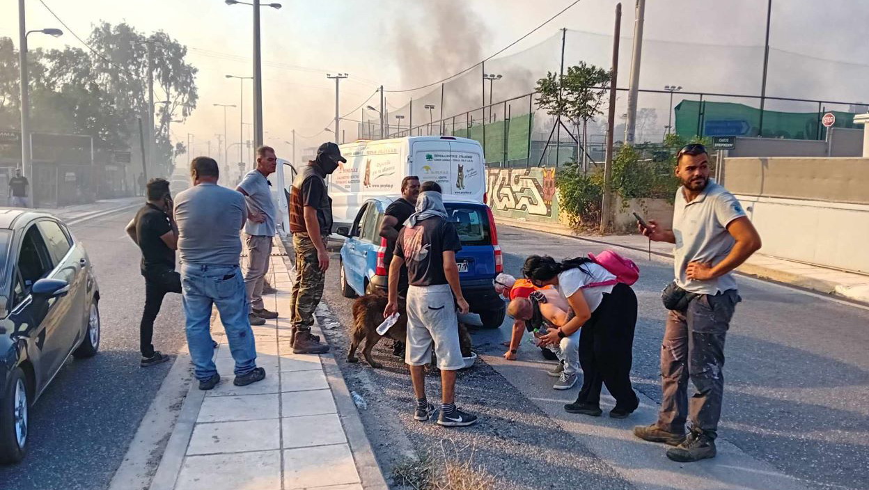  Συνεχίζονται οι επιχειρήσεις του ΔΙΚΕΠΑΖ για τη διάσωση ζώων στην φλεγόμενη Αττική