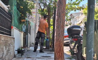 Ράντισμα μουριών σε διάφορους δρόμους της πόλης μας