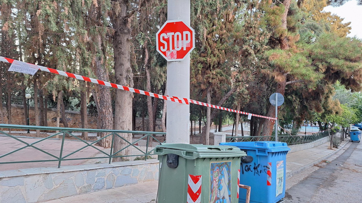 Κλαδέματα από τον ΔΕΔΔΗΕ στην οδό Δόξης σήμερα το πρωί…