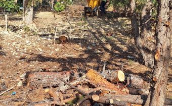 Συνεχίζονται οι εργασίες δημιουργίας αντιπυρικής ζώνης στο βουνό…