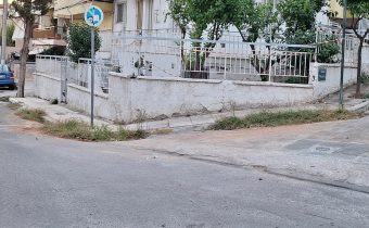 Αγριόχορτα στο οδόστρωμα των οδών Υψηλάντη και Ζωοδόχου Πηγής…