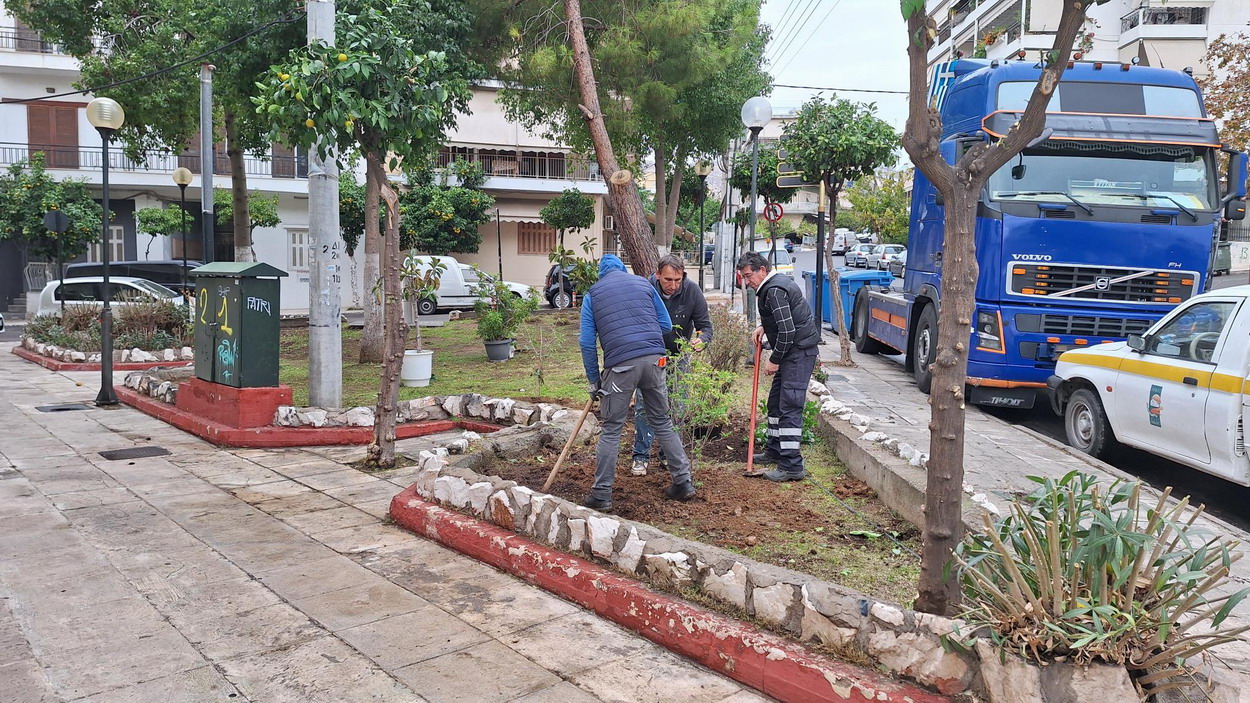 Φυτέματα στο τρίγωνο Παλ. Πολεμιστών και Μεγ. Αλεξάνδρου