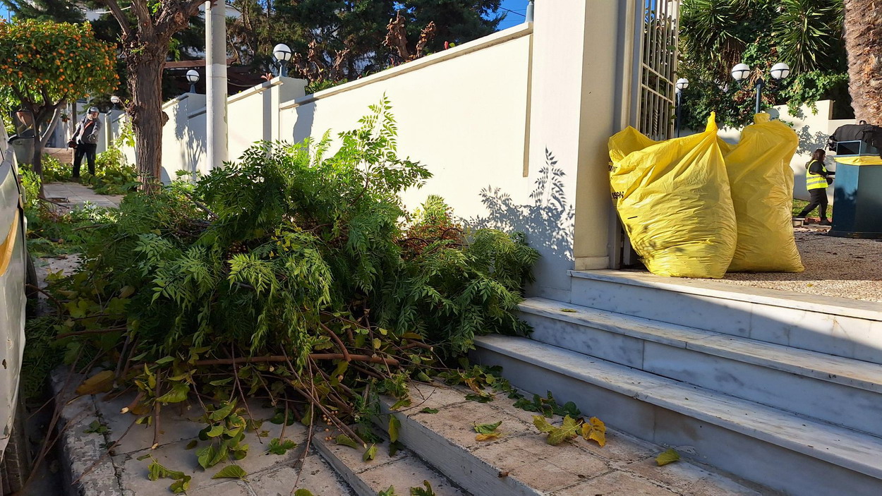 Γενική καθαριότητα και κλαδέματα έγιναν εχθές στο ΚΕΝΤΡΟ ΛΟΓΟΥ & ΤΕΧΝΗΣ