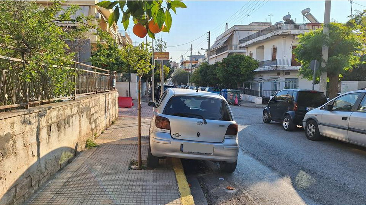 Αναστηλώθηκε το δενδράκι, πάρκαρε το Ι.Χ. εκατοστά από αυτό…