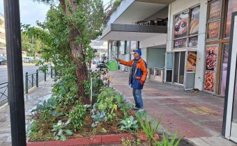 Τα ομορφότερα παρτέρια της Ελ. Βενιζέλου, με τη φροντίδα συμπολίτη μας…