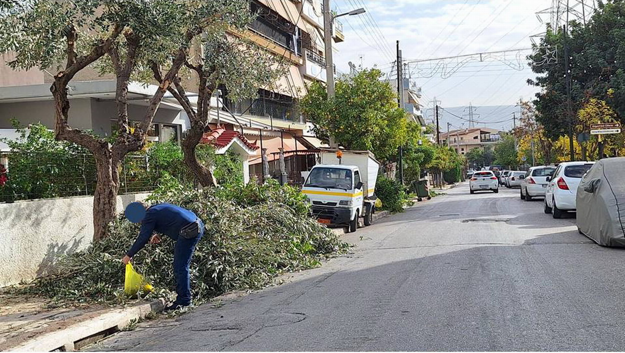 Συνεχίζονται τα κλαδέματα από την υπηρεσία κήπων του δήμου μας σε διάφορους δρόμους της πόλης μας