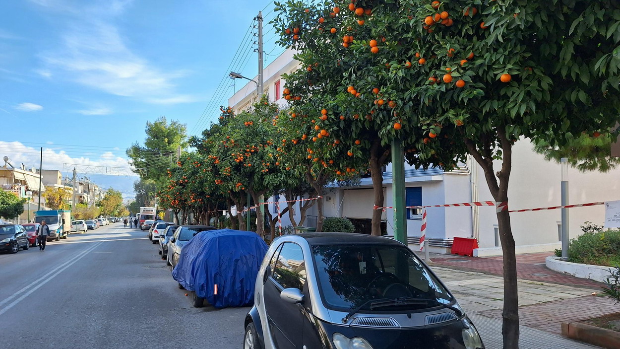 Δεν έγιναν τα κλαδέματα στην οδό Σίφνου που είχαν ανακοινωθεί από το δήμο – Φυλλωσιές κρύβουν το δημοτικό φωτισμό