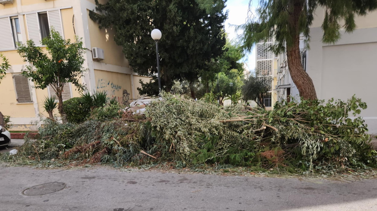 Ακλάδευτα δένδρα καλύπτουν το δημοτικό φωτισμό – Παρατημένα κλαδέματα επί μέρες σε δρόμους και πεζοδρόμια