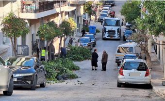 Κλαδέματα παντού, πλην των νεραντζιών της οδού Σίφνου που έχουν καλύψει το δημοτικό φωτισμό