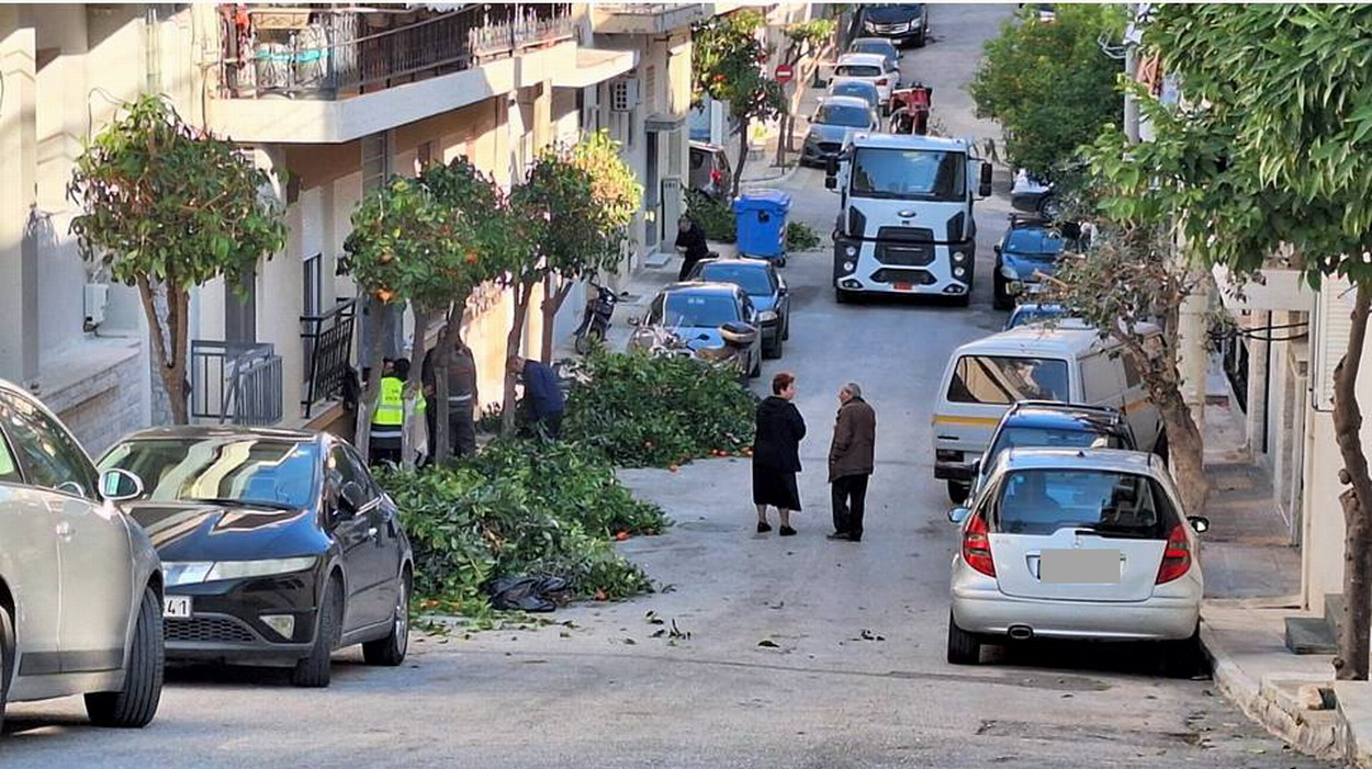 Κλαδέματα παντού, πλην των νεραντζιών της οδού Σίφνου που έχουν καλύψει το δημοτικό φωτισμό