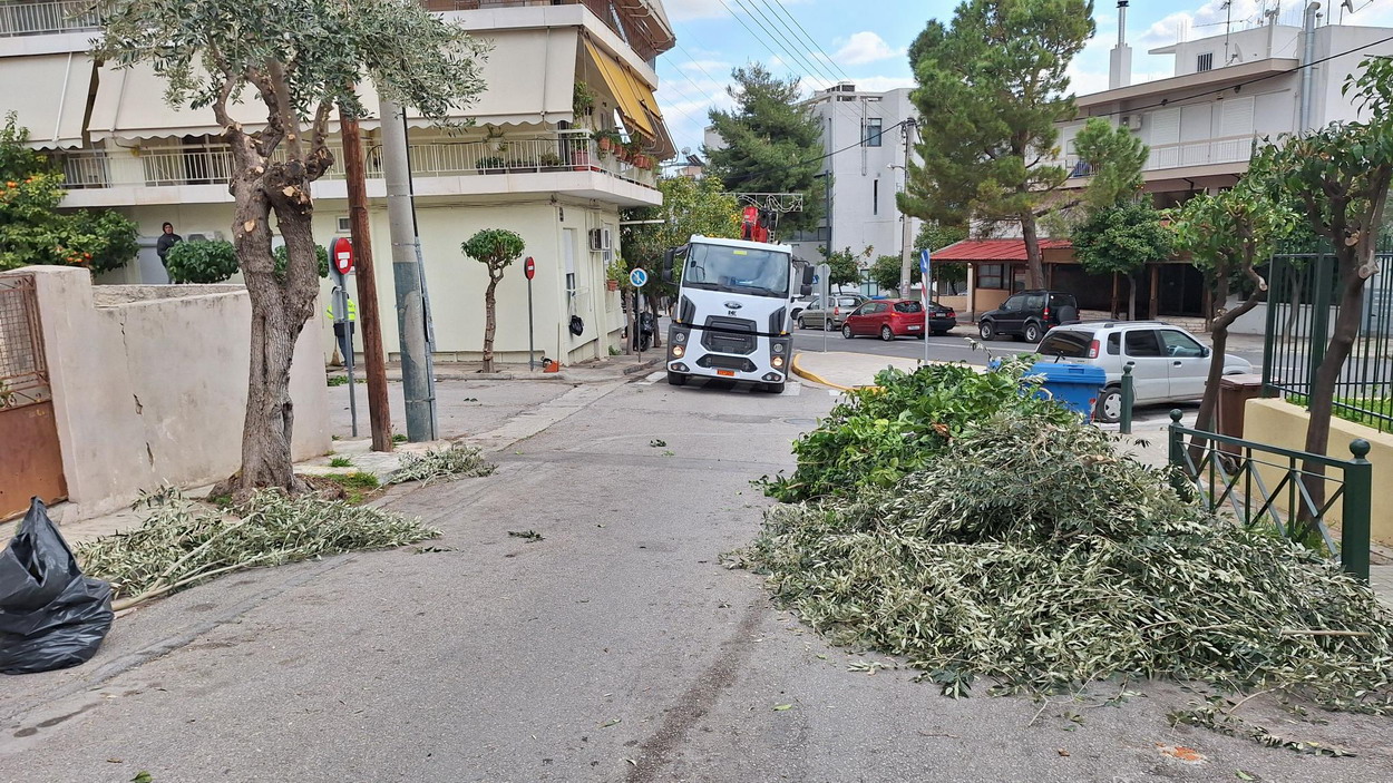 Συνεχίζονται τα κλαδέματα σε διάφορους δρόμους της πόλης μας