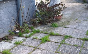 Σταμάτησε η διαρροή νερού από το αναψυκτήριο ΣΥΝΤΡΙΒΑΝΙ…