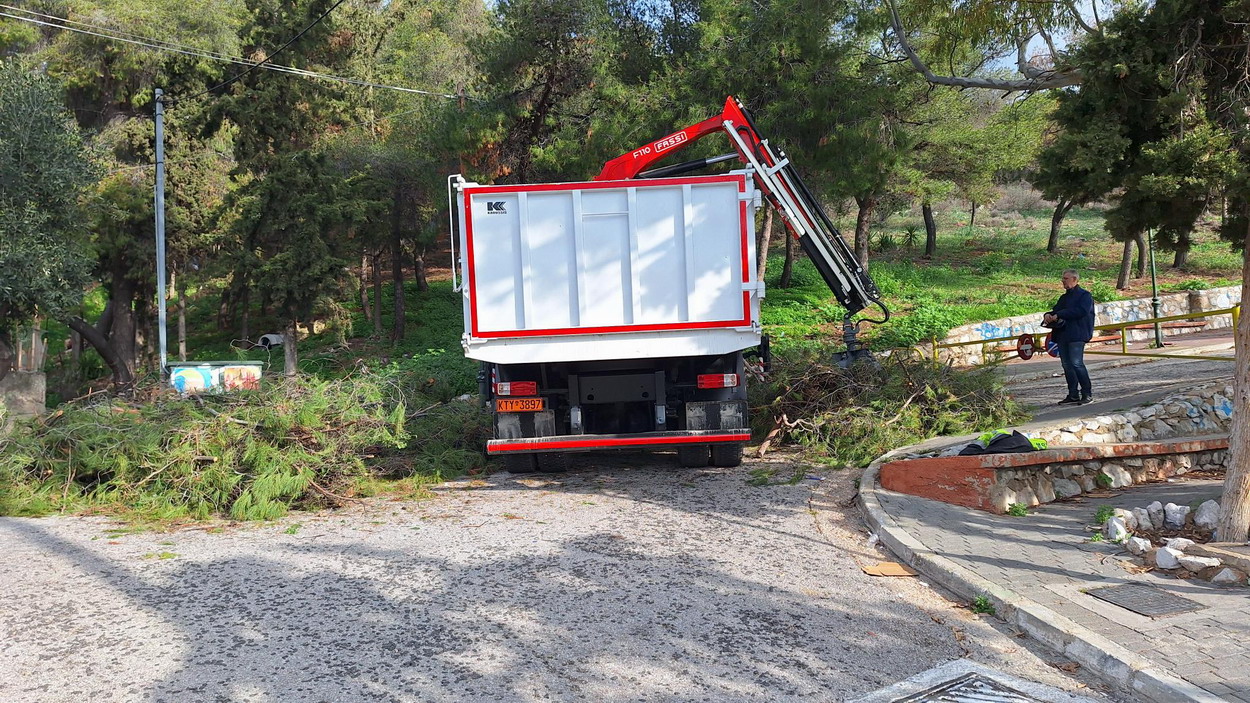 Προβλήματα σε εργαζόμενους από τα κουκούλια καμπιών – Εξανθήματα, κοκκινίλες και φαγούρα – Επικίνδυνες οι κάμπιες για ανθρώπους αλλά και σκύλους