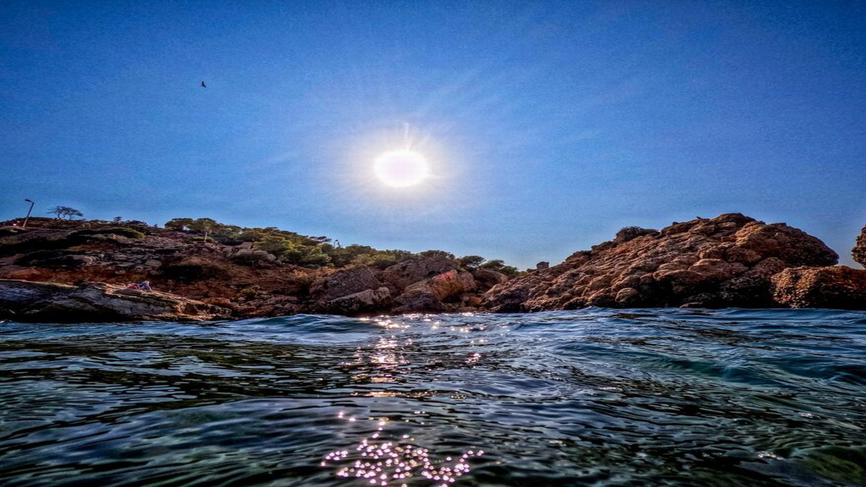 Η υπερθέρμανση των θαλασσών αλλάζει τη «συμπεριφορά» των ψαριών