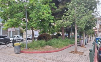 Τριγωνάκι απέναντι από την είσοδο του Νοσοκομείου χρειάζεται περιποίηση