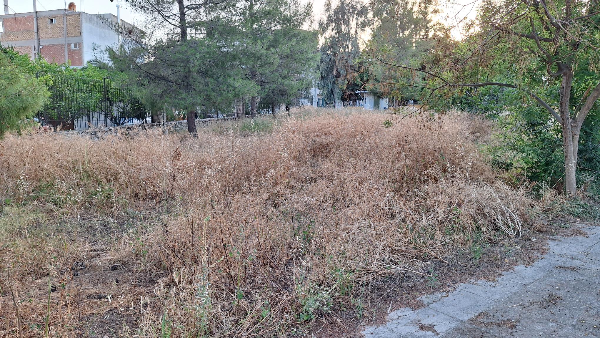 Απειλή πυρκαγιάς τα άκοπα ξερά χόρτα στο χώρο του ΚΕΝΤΡΟΥ ΠΡΟΝΟΙΑΣ ΑΜΕΑ, στο π. ΛΟΙΜΩΔΩΝ