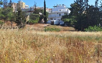 Στις 15 Ιουνίου λήγει η προθεσμία για την αποψίλωση οικοπέδων και ακάλυπτων χώρων, αλλά υπάρχει πολύ δουλειά…