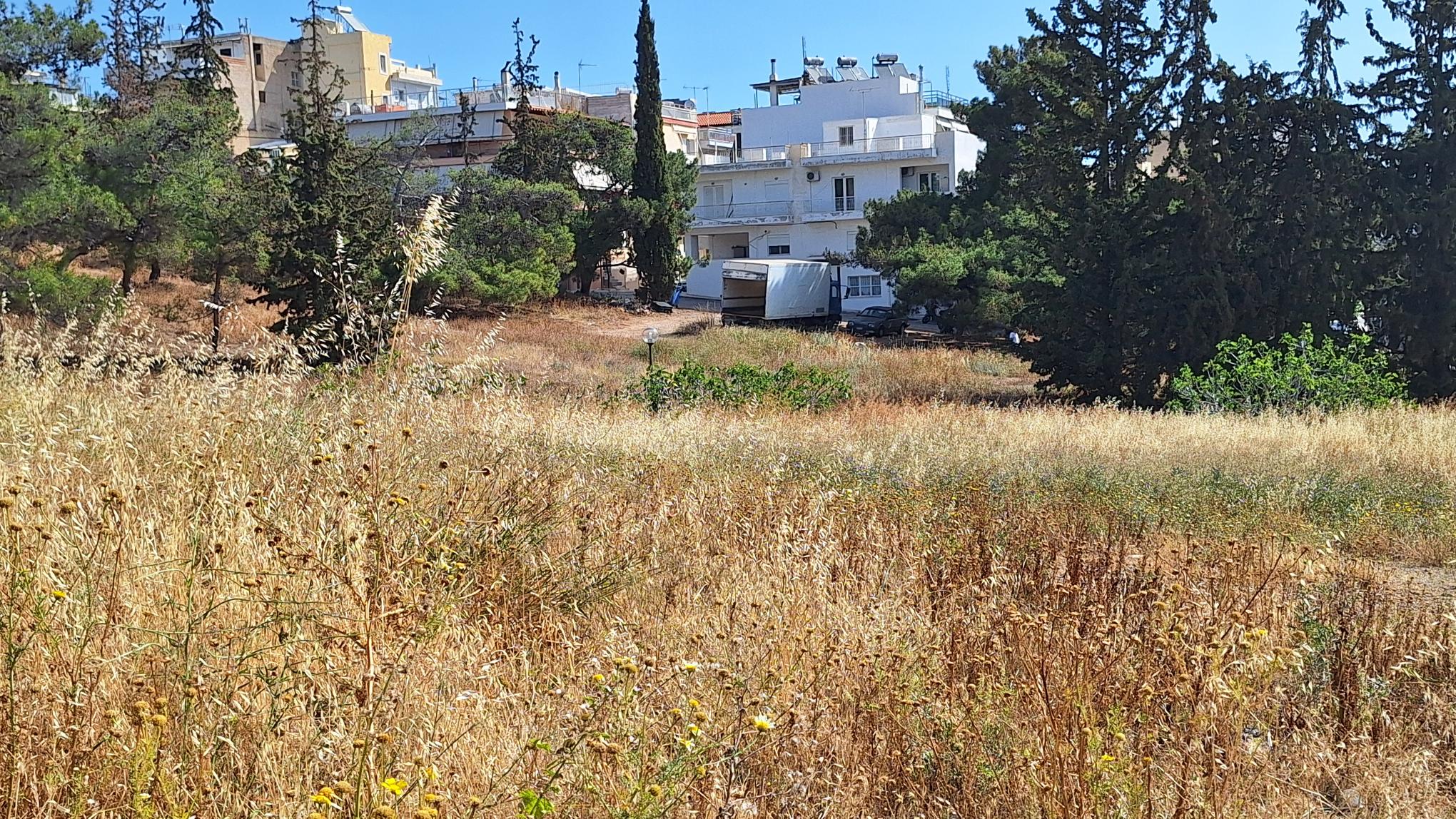 Στις 15 Ιουνίου λήγει η προθεσμία για την αποψίλωση οικοπέδων και ακάλυπτων χώρων, αλλά υπάρχει πολύ δουλειά…