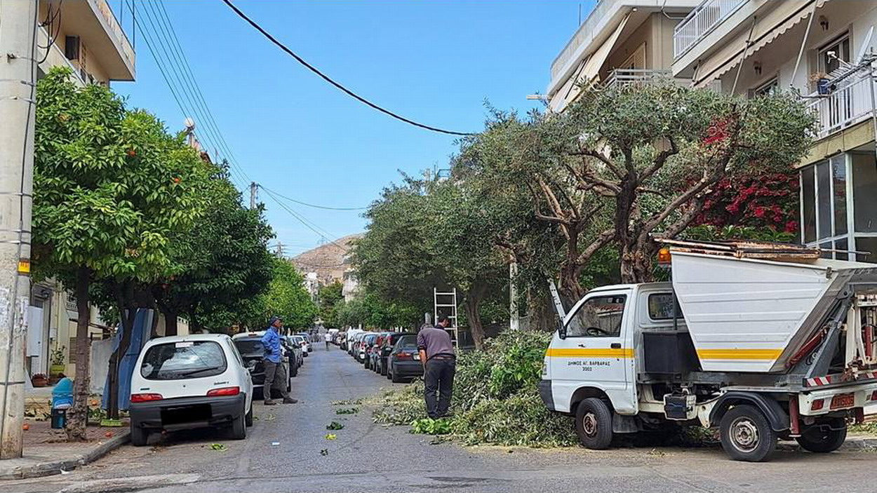 Κλαδέματα από το δήμο στην οδό Κωσταντινουπόλεως και το άλσος Δόξης