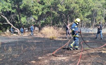 Πυρκαγιά στον ακάλυπτο χώρο του Νοσοκομείου Λοιμωδών που συνορεύει με το άλσος ΜΗΤΕΡΑ