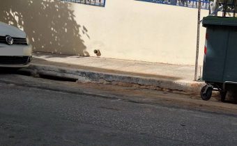 Απομακρύνθηκαν τα μπάζα από την οδό Κύπρου