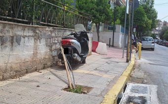 Δενδράκι θύμα των τροχών οχημάτων, στην οδό Κωστή Παλαμά…