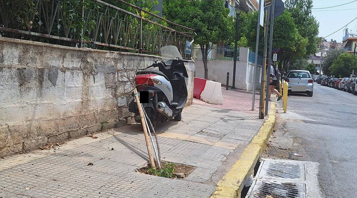 Δενδράκι θύμα των τροχών οχημάτων, στην οδό Κωστή Παλαμά…