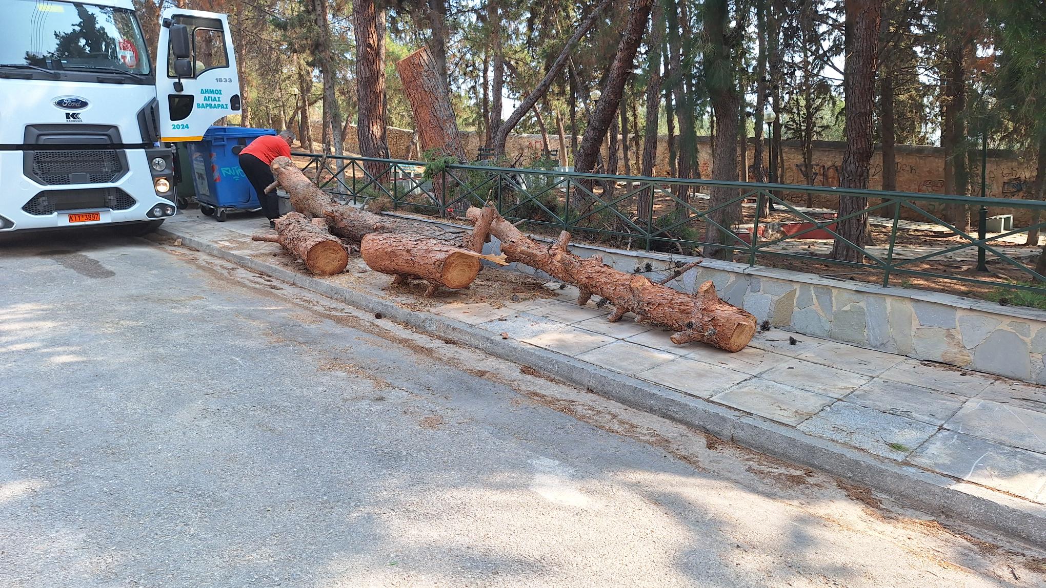 Εκτός από κλάδεμα, έκοψε και δένδρα ο ΔΕΔΔΗΕ στο άλσος Δόξης…