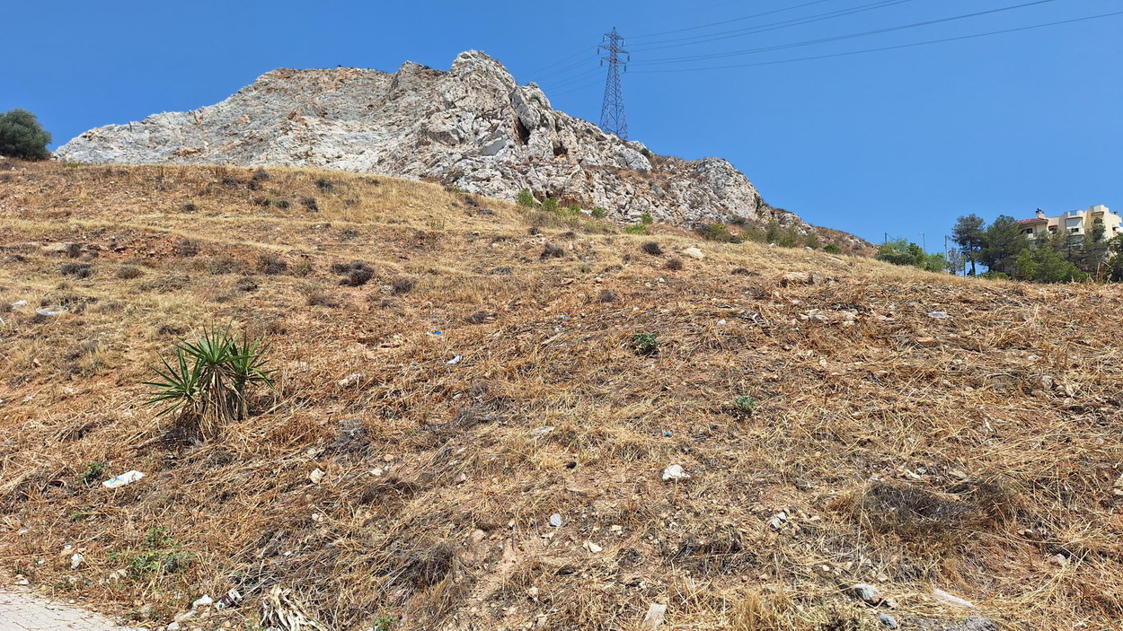 Ξεκίνησε η αποψίλωση ξερών αγριόχορτων στο βουνό