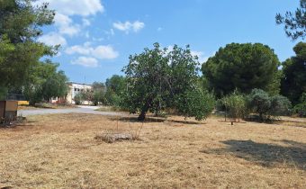 Καθαρίστηκε από τα ξερόχορτα το Κέντρο Πρόνοιας ΑμεΑ, στο χώρο του ΛΟΙΜΩΔΩΝ