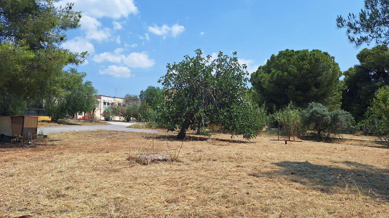 Καθαρίστηκε από τα ξερόχορτα το Κέντρο Πρόνοιας ΑμεΑ, στο χώρο του ΛΟΙΜΩΔΩΝ