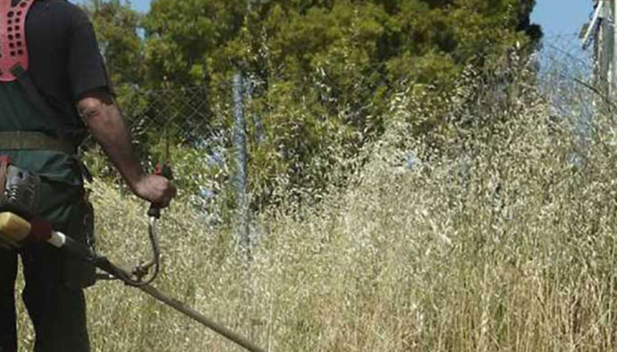 Aκαθάριστα οικόπεδα: Λήγει η προθεσμία για τον καθαρισμό – Ερχονται πρόστιμα